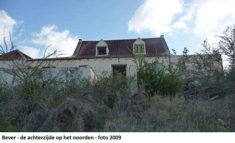 26. Bever achterzijde op het noorden 2009